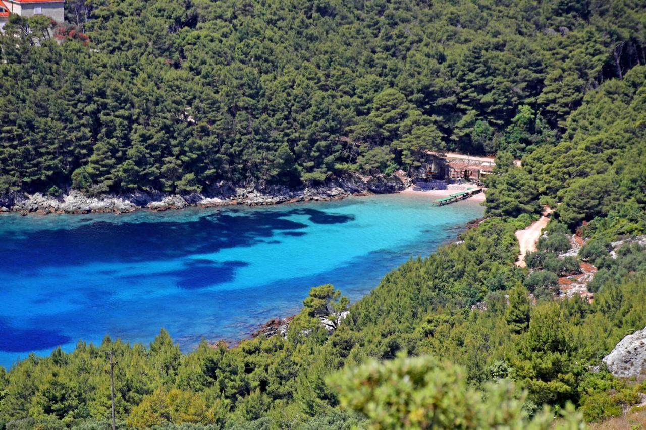 Apartments By The Sea Luka Dubrava, Peljesac - 14040 Putniković エクステリア 写真